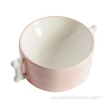 Tazón de comida de cerámica de cerámica fácil de limpiar a prueba de fugas